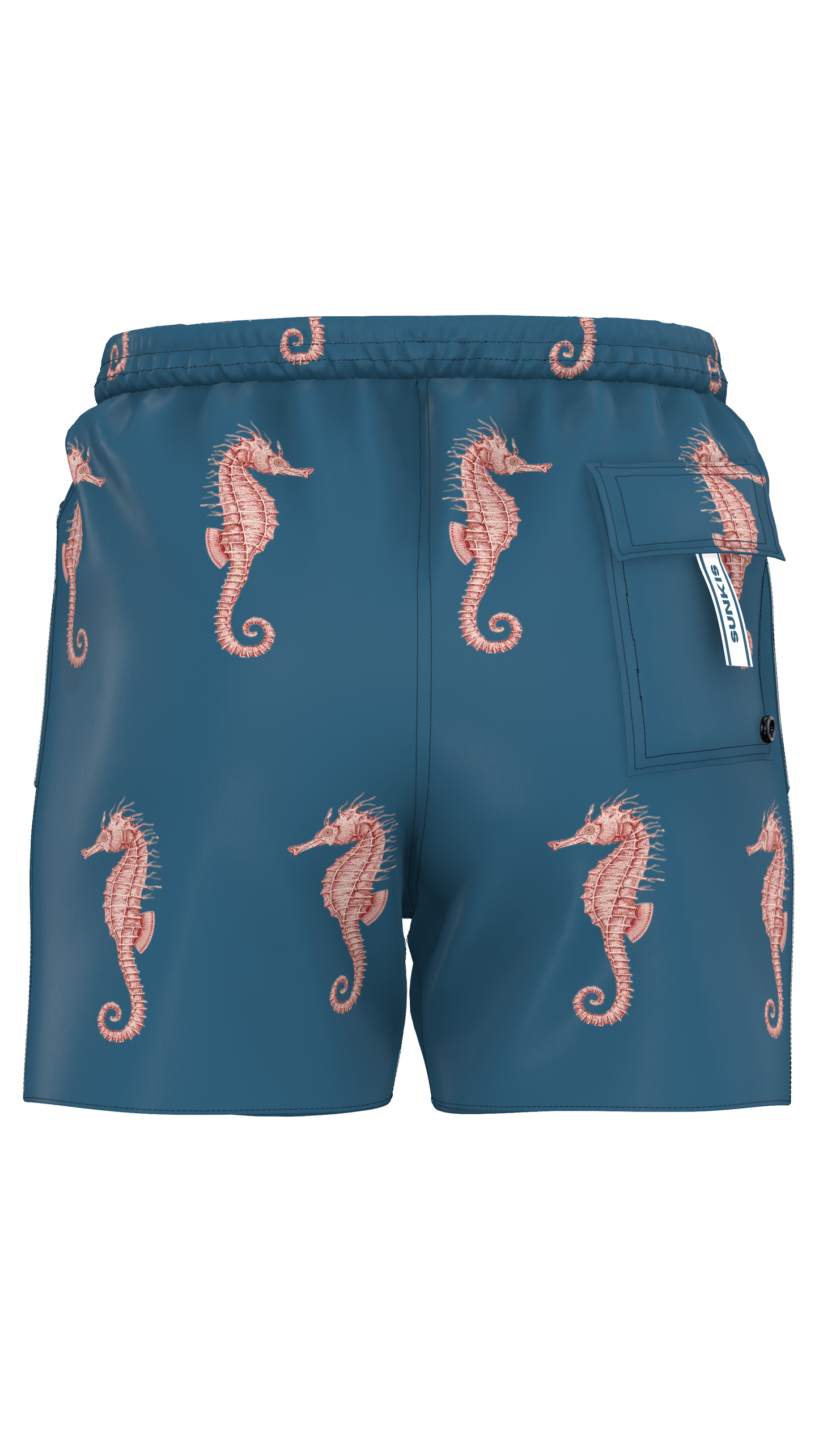 Sea Horse