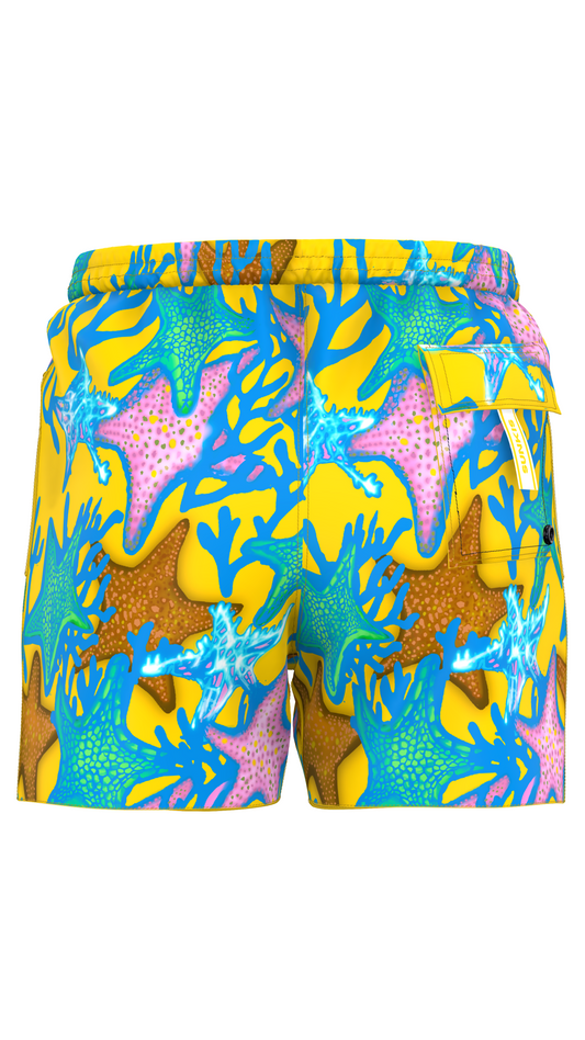 Star Reef