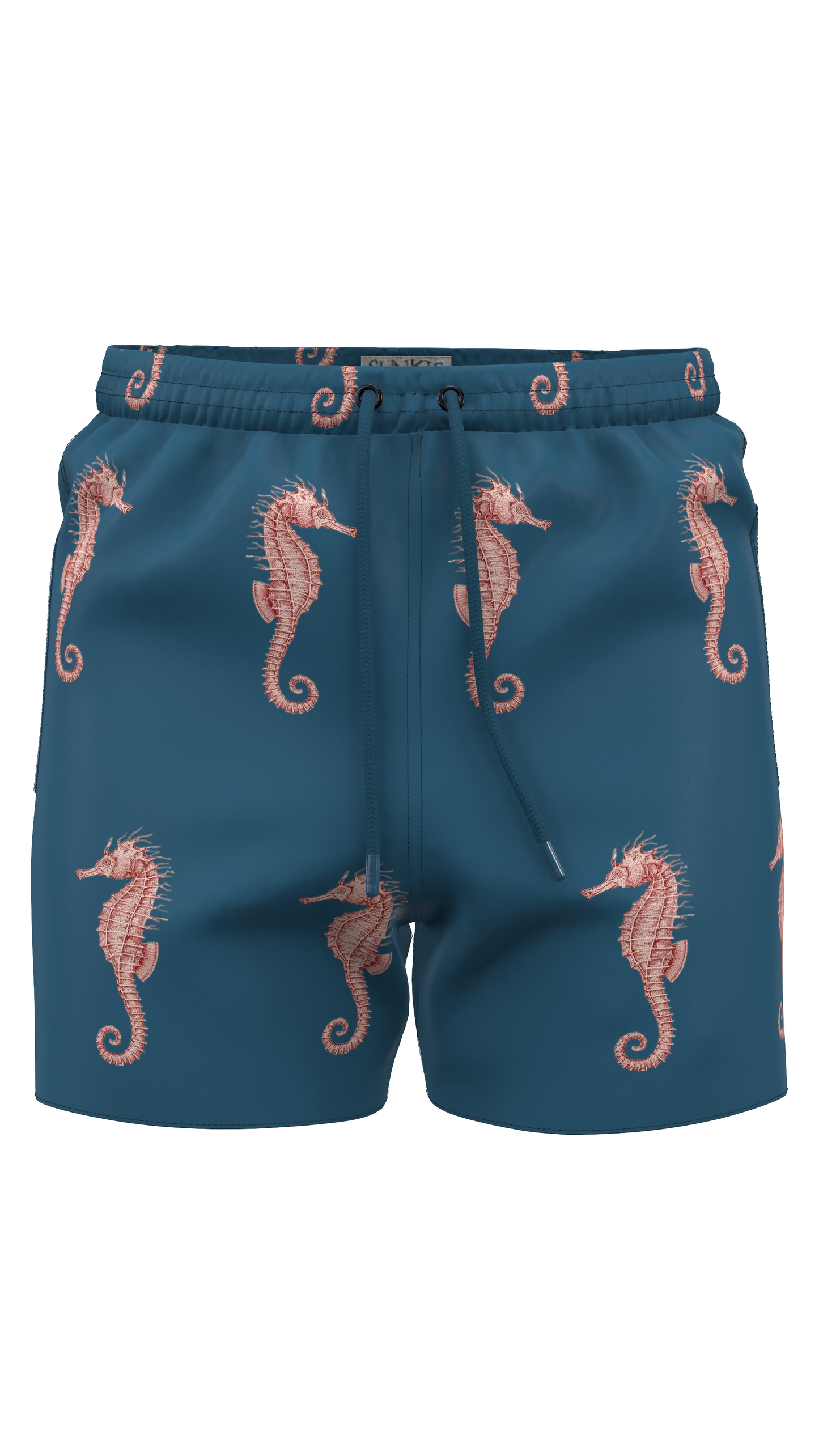 Sea Horse